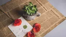 Promóció - Az első 100 tanárnak ajándék